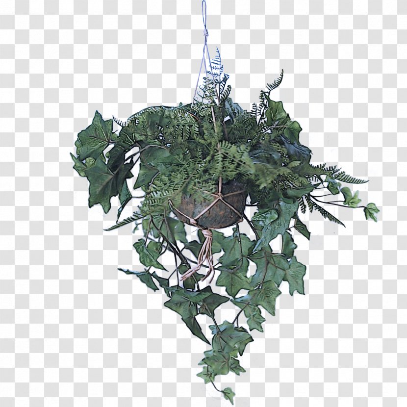 Christmas Decoration - Anthurium Transparent PNG
