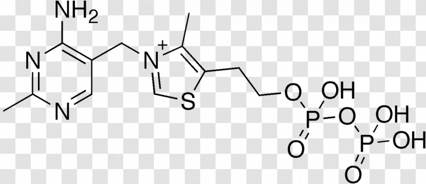 Dietary Supplement Thiamine Pyrophosphate Deficiency Vitamin - Heart - Frame Transparent PNG