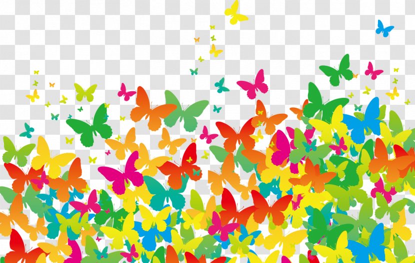 Butterfly - Vector Transparent PNG