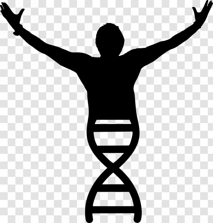 Molecular Biology DNA Clip Art - Nucleic Acid Double Helix - Victory Transparent PNG