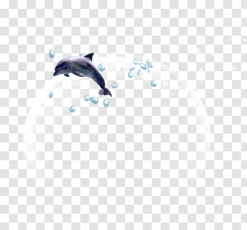 Sky Animal Pattern - Computer - Blister Dolphin Transparent PNG