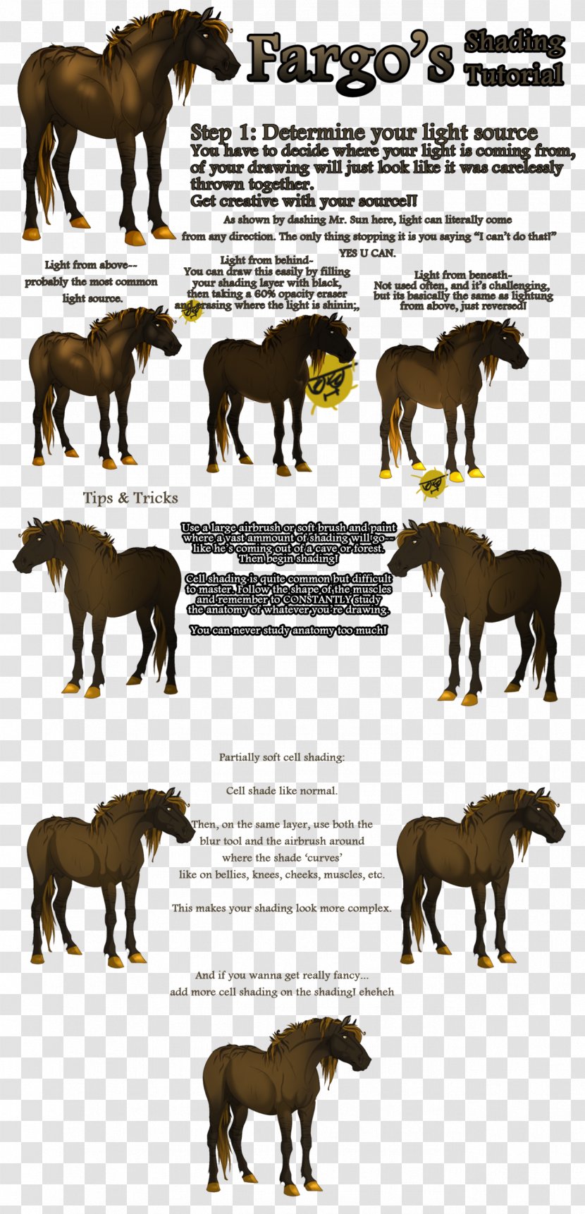 Mustang Belarus Stallion Tut.By Email - Tutby Transparent PNG