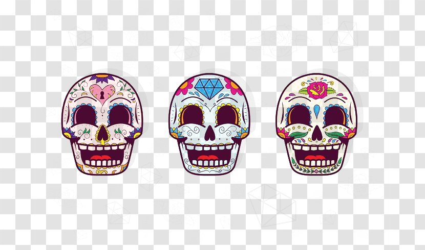 Calavera Human Skull Symbolism Day Of The Dead - Ornament - Cute Transparent PNG