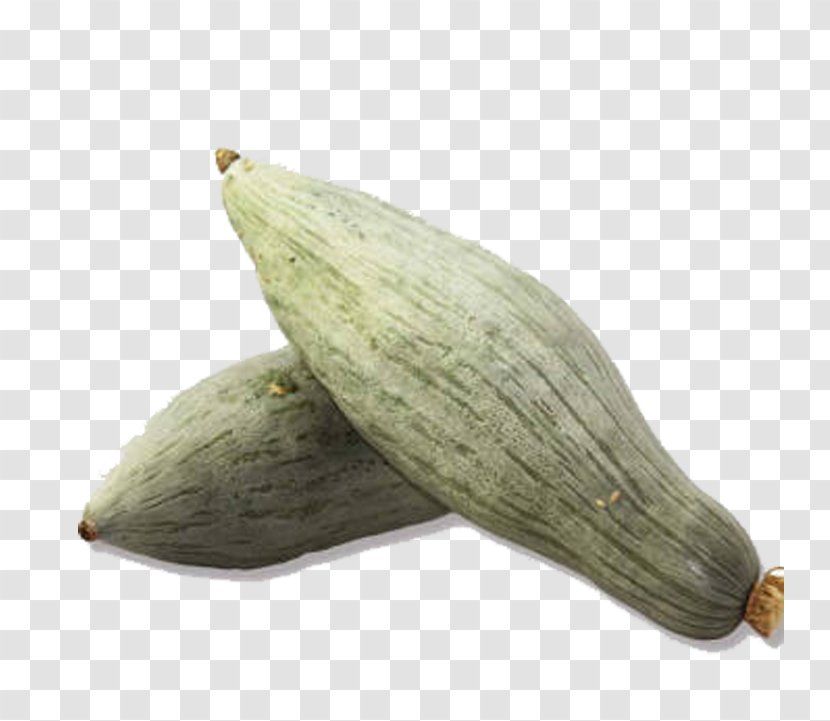 Seed Pumpkin Sweet Chestnut Icon - Commodity - Pointy Transparent PNG