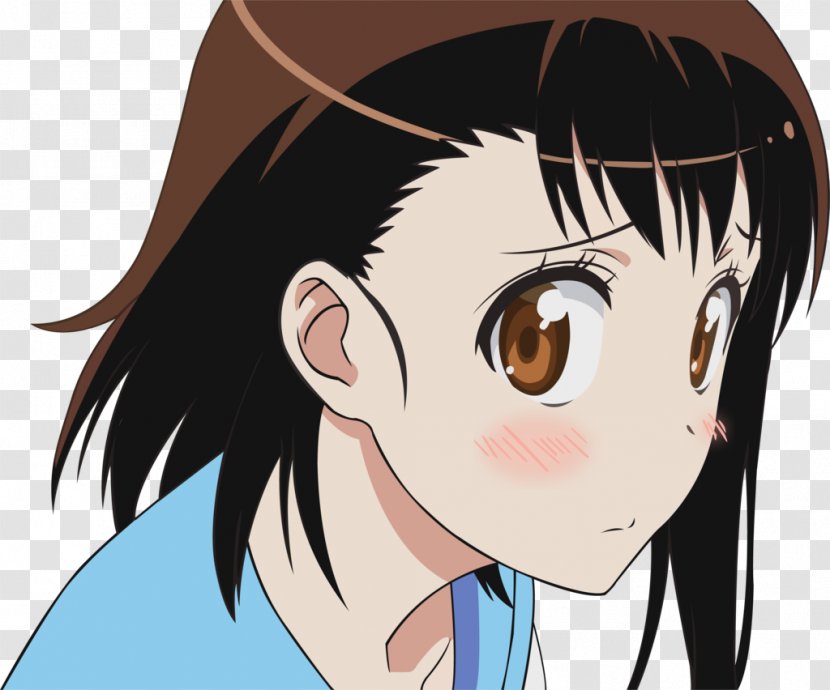 Desktop Wallpaper Nisekoi Display Resolution - Flower - Onodera Transparent PNG