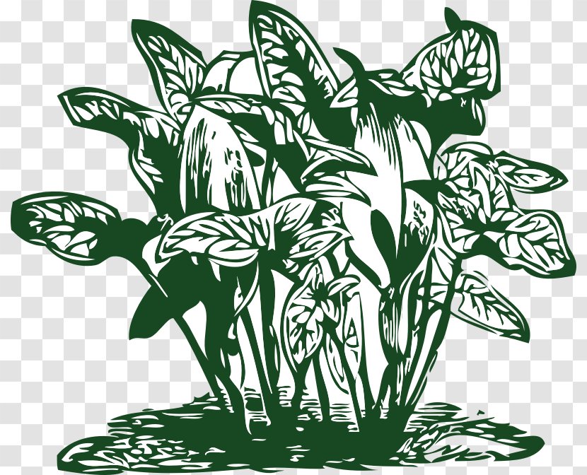 Tropics Plant Clip Art - Tropical Transparent PNG