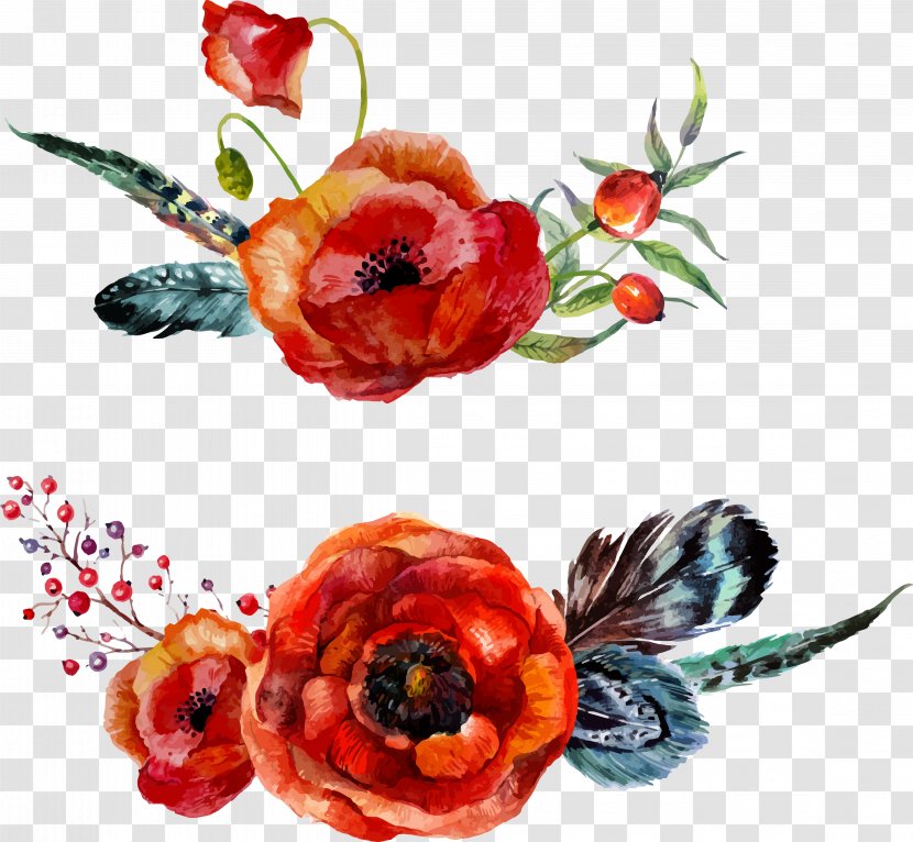 Watercolour Flowers Poppy Watercolor Painting - Drawing Vector Floral Feather Transparent PNG
