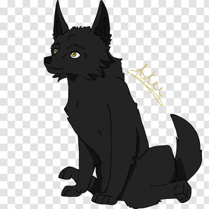 Schipperke Black Cat Whiskers Dog Breed - Aku Poster Transparent PNG