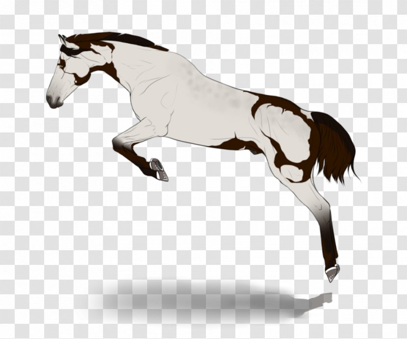 Mane Pony DeviantArt Stallion Mustang - Ashen Transparent PNG