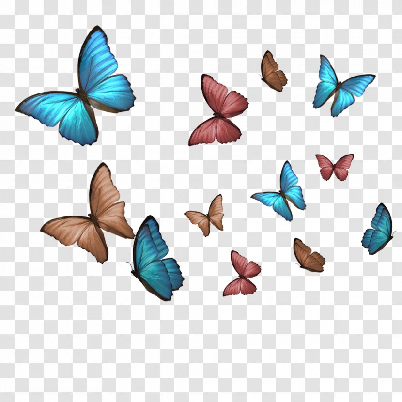 Butterfly Archive Of Our Own Organization For Transformative Works Art School - Wing Transparent PNG