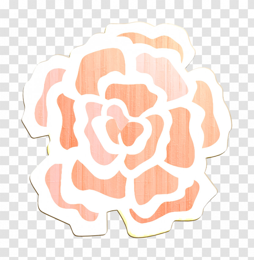 Flowers Icon Flower Icon Carnation Icon Transparent PNG