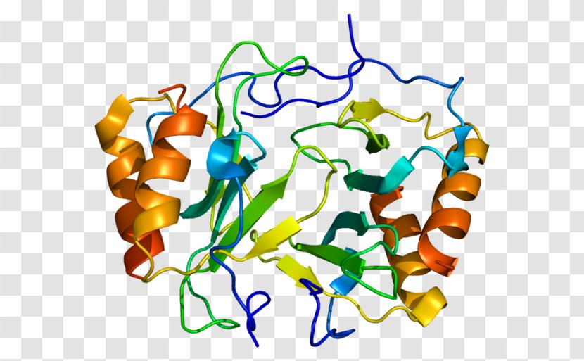 Platelet Factor 4 CXC Chemokine Receptors Heparin - Crystal Structure Transparent PNG