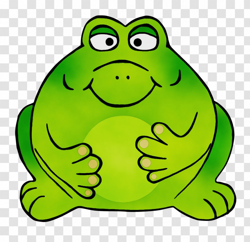 Amphibians Frogs Toad True Frog Cartoon Transparent PNG