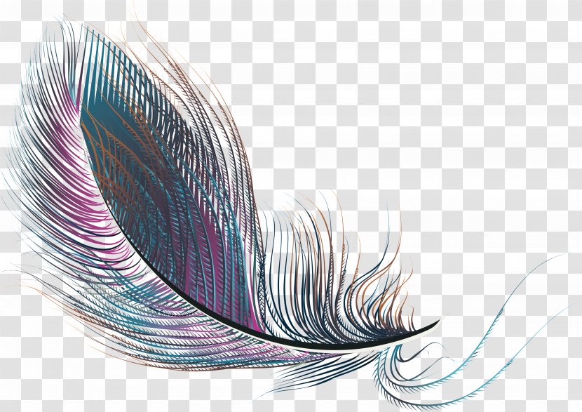 Feather - Exquisite Purple Feathers Transparent PNG