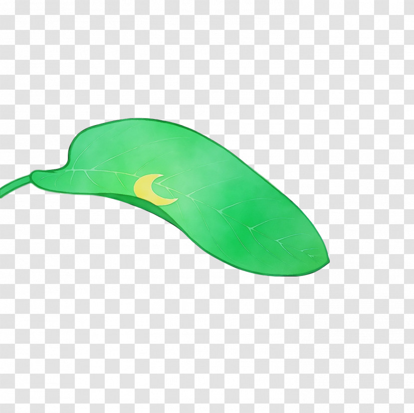 Green Transparent PNG