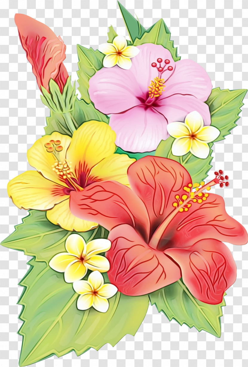 Floral Design Transparent PNG