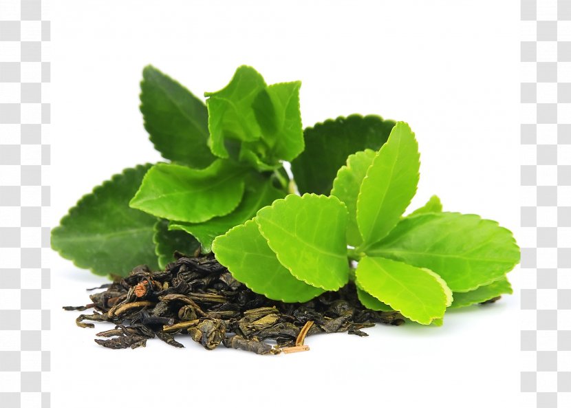 Green Tea Matcha Organic Food Masala Chai - Leaf Transparent PNG