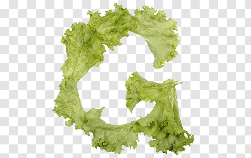 Lettuce Letter Food Vegetable - Typeface Transparent PNG