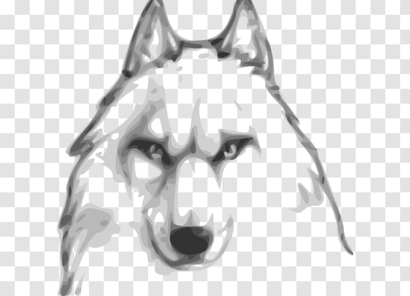 Gray Wolf Drawing Computer Software Assassin's Creed: Origins Internet Forum - Whiskers - Avatar Transparent PNG