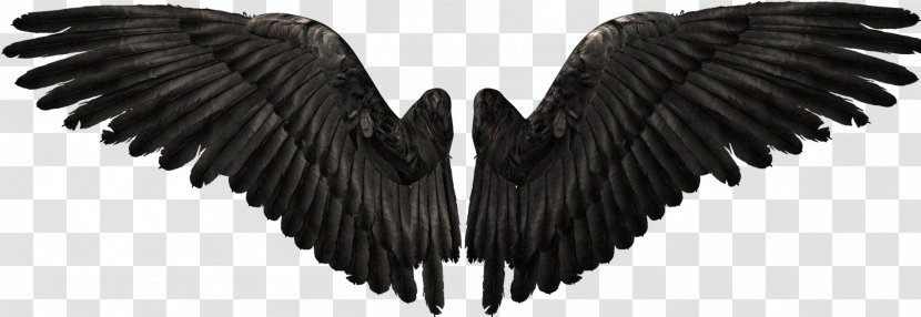 Angel YouTube Clip Art - Beak - Devil Wings Transparent PNG