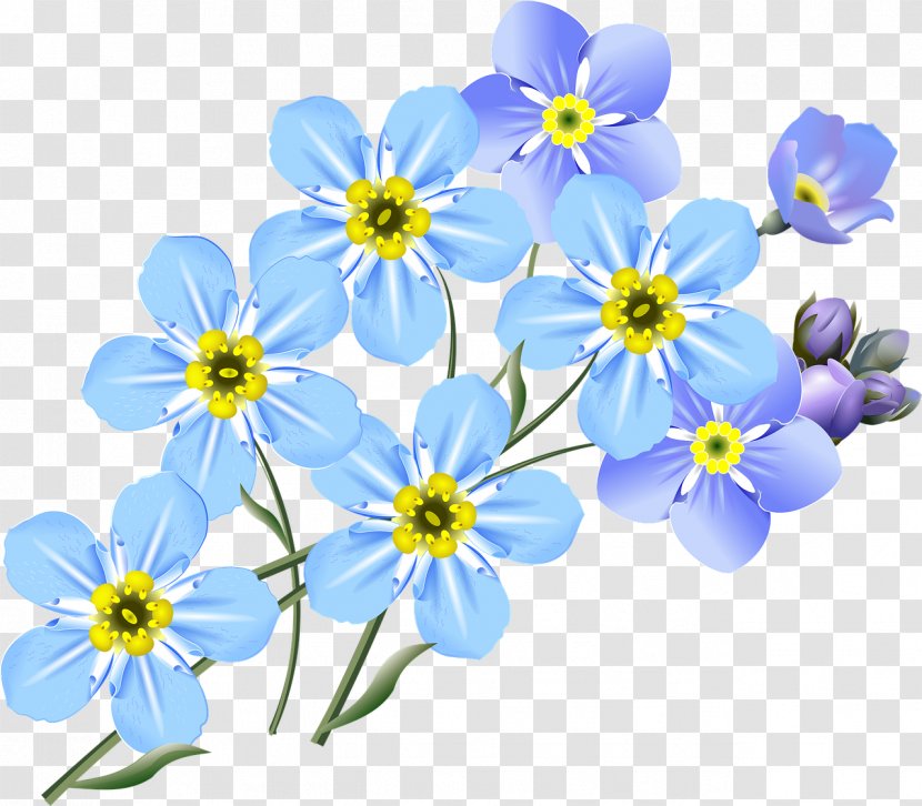 Drawing Art Clip - Plant - Forget Me Not Transparent PNG