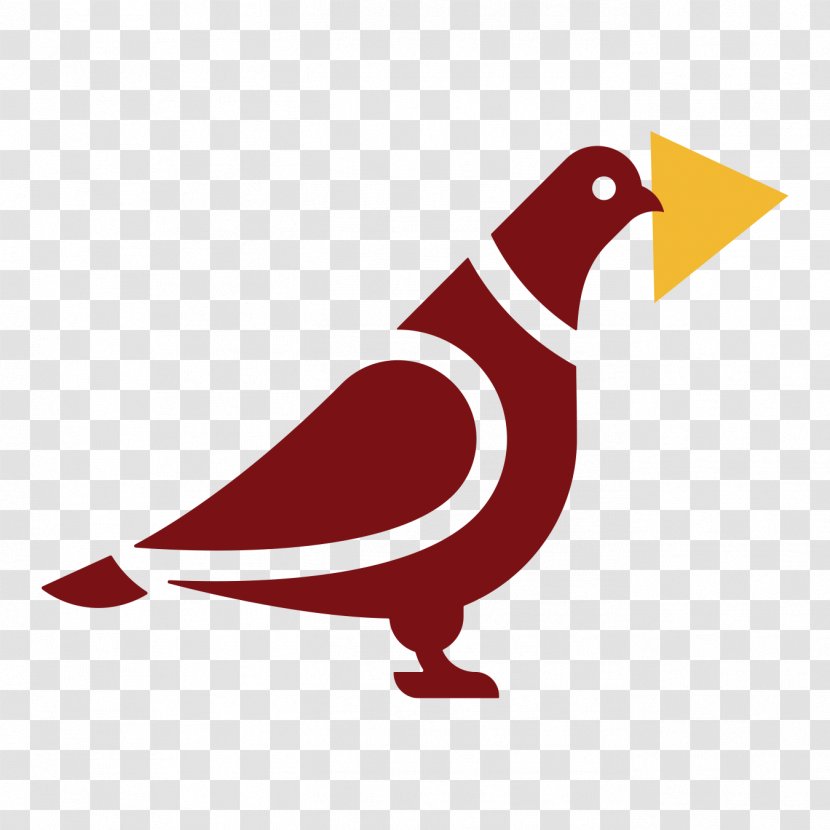 Bird Beak Clip Art Rock Dove Perching - Pigeons And Doves - Parrot Transparent PNG