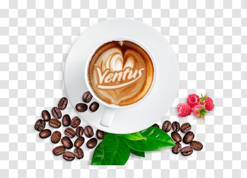 Chocolate Milk - Java Coffee - Cocoa Bean Logo Transparent PNG