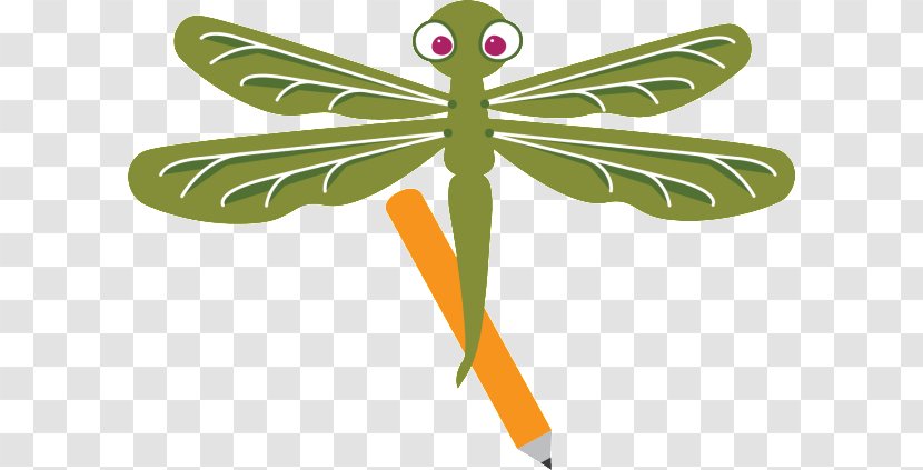 Drawing Insect Dragonfly Clip Art - Pencil - Sketch Transparent PNG