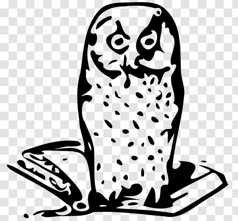 Owl Bird Book Clip Art - Pixabay - Cartoon Images Transparent PNG