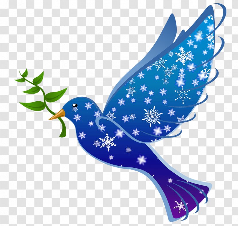 Bird Columbidae Pixabay Illustration - Pollinator - Winter Birds Transparent PNG