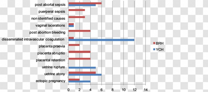 Maternal Death Mortality Ratio Obstetrics And Gynaecology Health Rate Transparent PNG