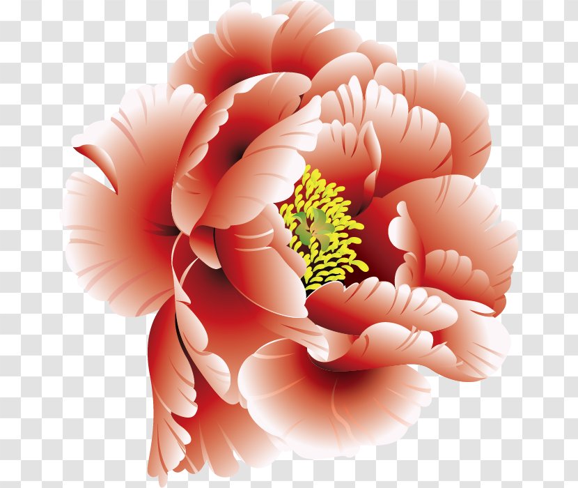 Peony Flower Clip Art - Arranging - Vector Transparent PNG