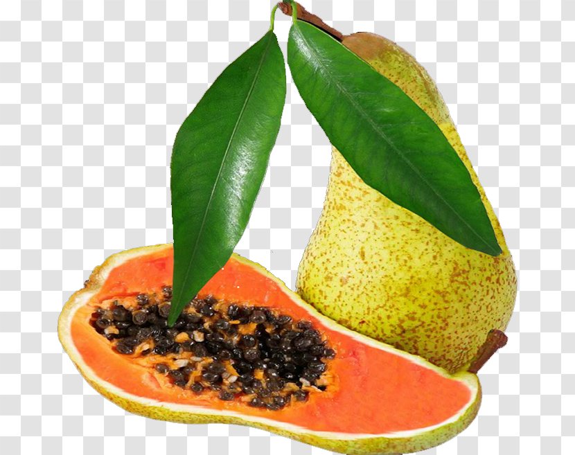 Fruit Vegetarian Cuisine Pear - Food - Variation Of Transparent PNG