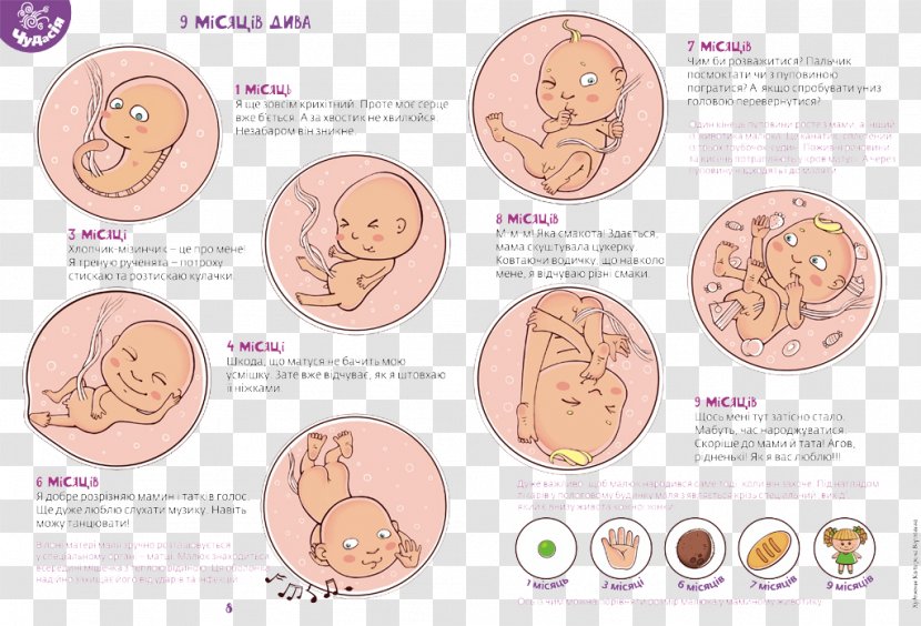 Cartoon Designer Illustration - Greeting Card - Baby Growth Transparent PNG