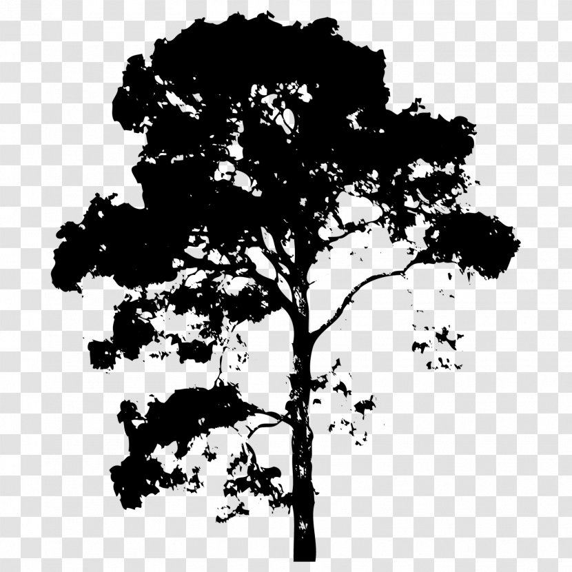 Branch Tree Drawing - Plant - Vector Trees Transparent PNG