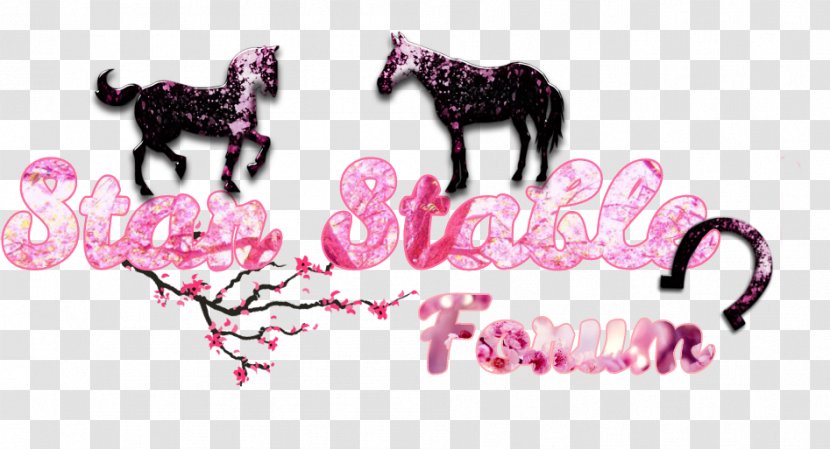 Horse Star Stable Entertainment Single Sign-on Game Transparent PNG