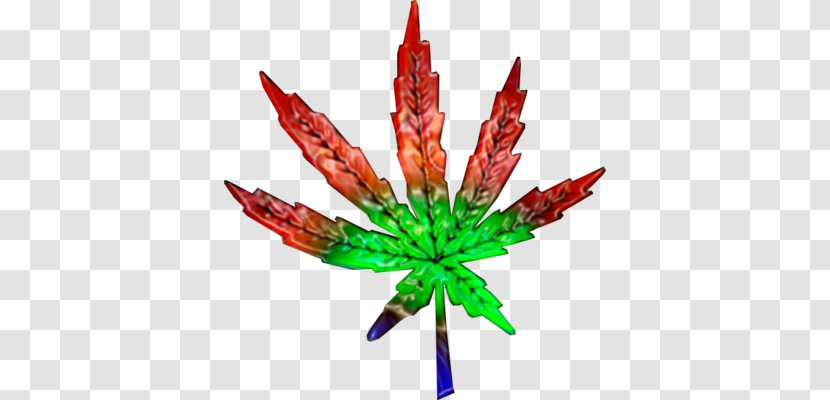 Cannabis - Smoking - Leaf Transparent PNG