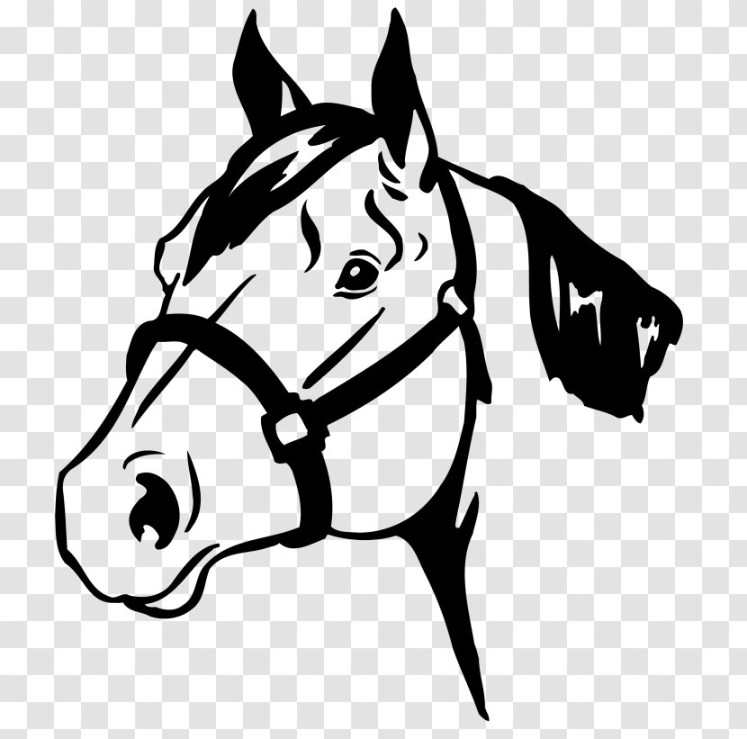 Horse Show Safety Equestrian 4-H - Livestock Transparent PNG