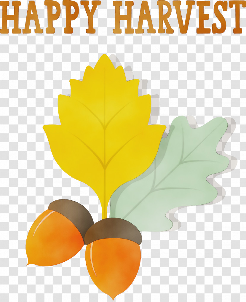Leaf Font Tree Meter Fruit Transparent PNG