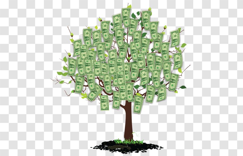 Money Wealth Finance Tree Plant - Demand Transparent PNG