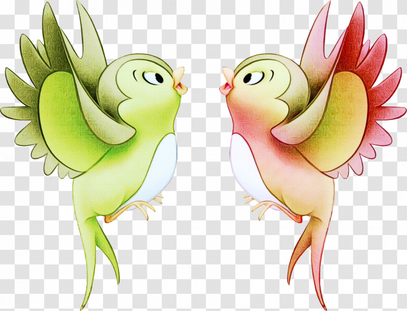 Parrot Bird Cartoon Wing Parakeet Transparent PNG