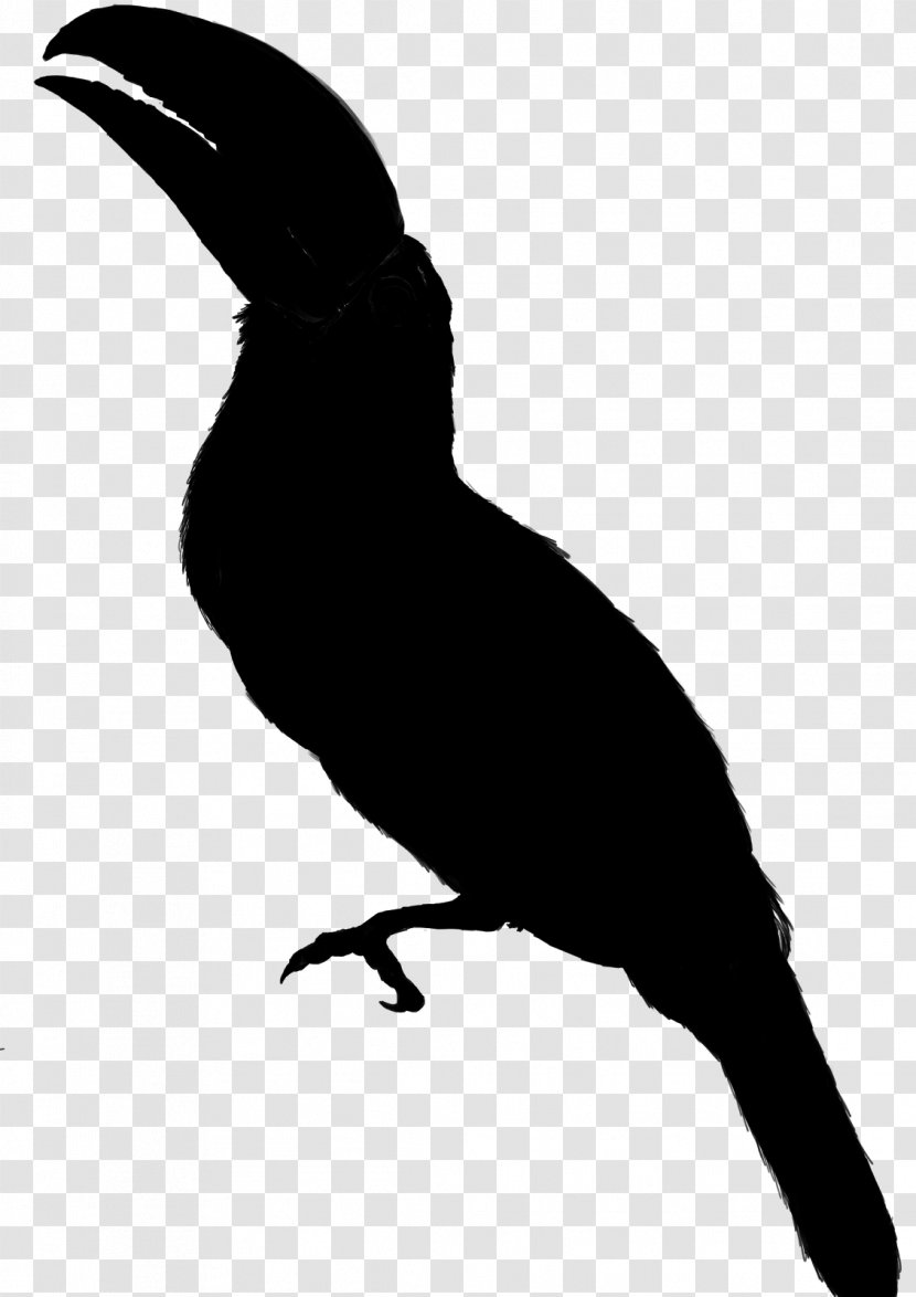 Clip Art Free Content Image Silhouette Bird - Public Domain Transparent PNG