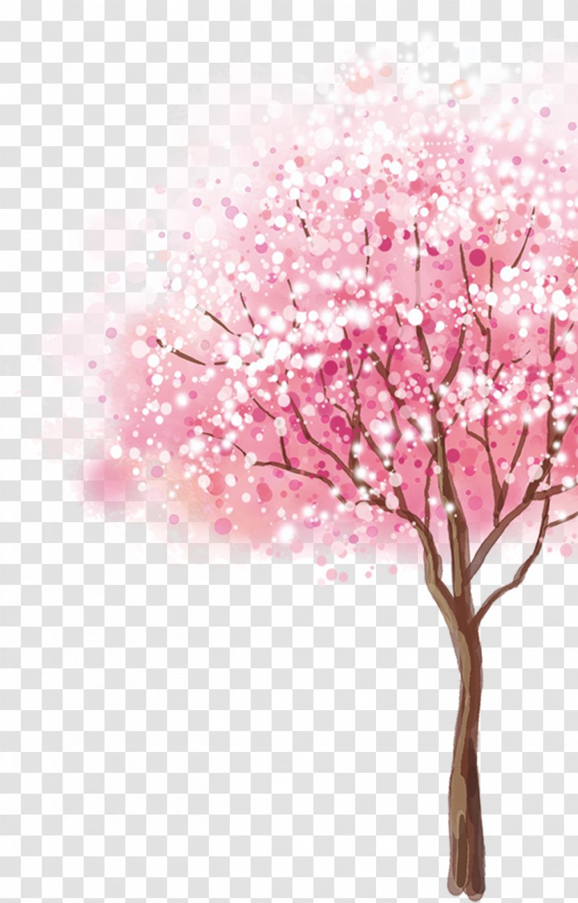 Cherry Blossom Cerasus Tree - Petal Transparent PNG