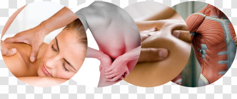 Thai Massage Muscle Apex Therapy - Myofascial Release Transparent PNG