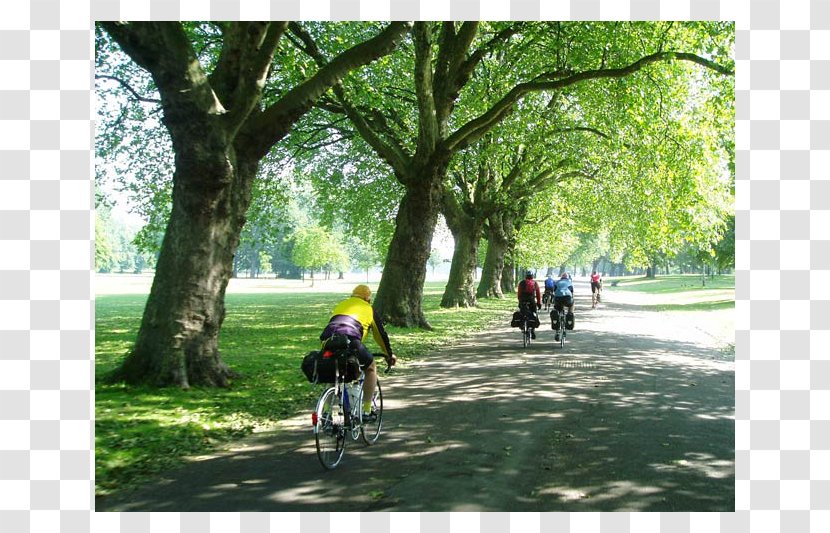 Road Bicycle Victoria Park, London Mountain Bike Adventure - Cycling - Park Transparent PNG