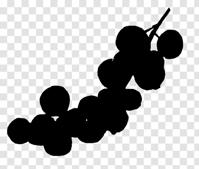 Grape Cartoon - Grapevine Family - Food Blackandwhite Transparent PNG