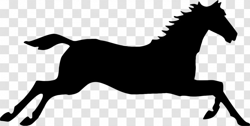 Mustang Canter And Gallop Arabian Horse Clip Art - Horseshoe Transparent PNG