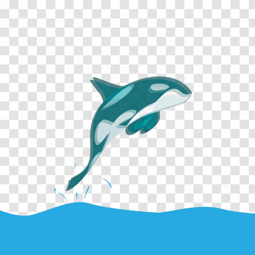 Common Bottlenose Dolphin Tucuxi Shark Desktop Wallpaper Transparent PNG
