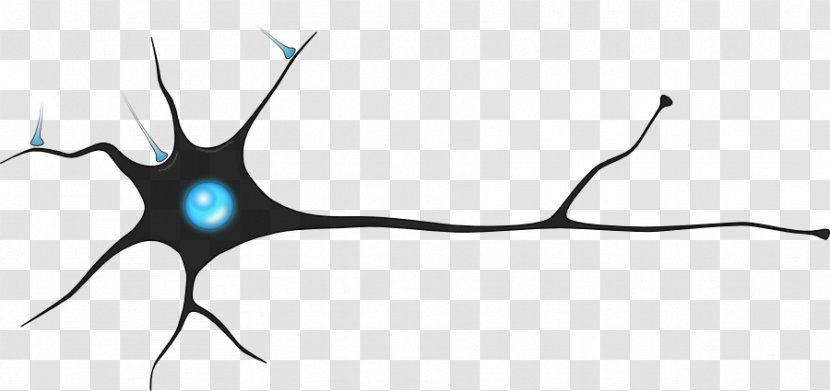 Neuron Synapse Artificial Neural Network Neuroscience Brain - Cartoon Transparent PNG
