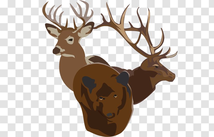 Elk Reindeer Hunting Antler - Deer Transparent PNG